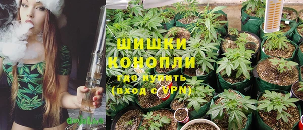 spice Зеленодольск
