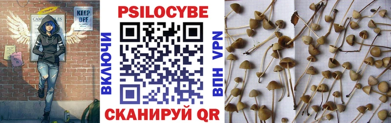 Псилоцибиновые грибы GOLDEN TEACHER  Светлогорск 