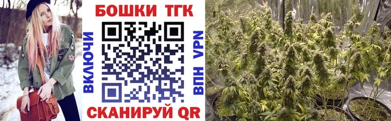 Бошки марихуана гибрид  где купить наркотик  Светлогорск 